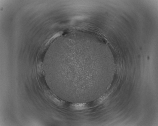 X0000065980093200603101433