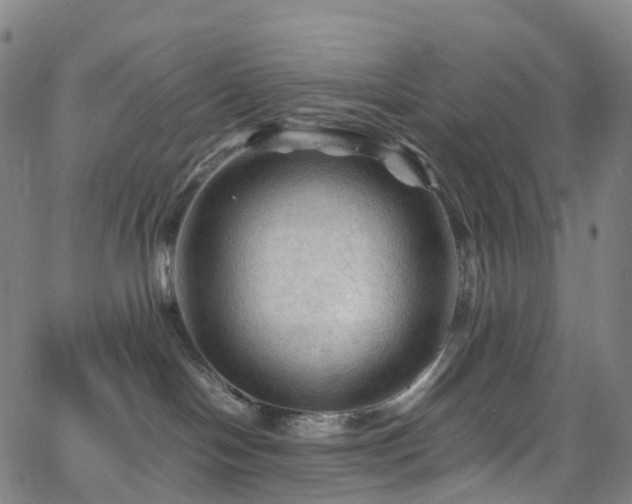 X0000065980094200603101433