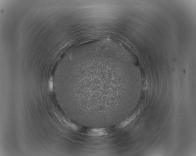 X0000065980095200603101433