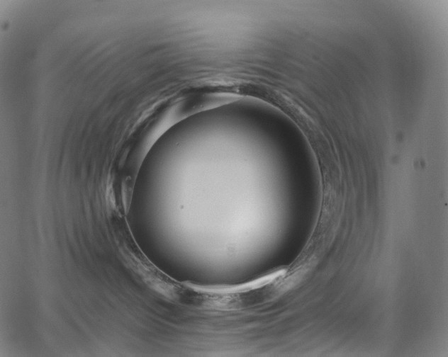 X0000065980096200603101433