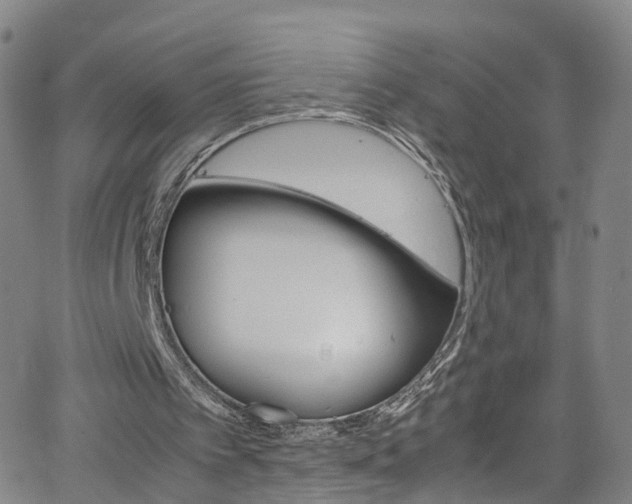 X0000065980097200603101432