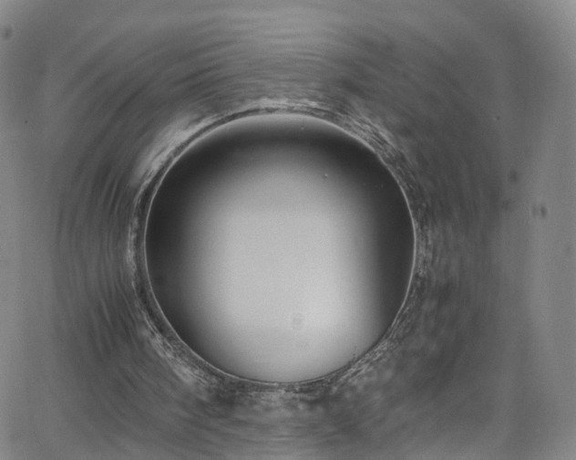 X0000065980098200603101432