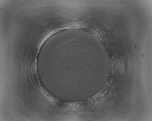 X0000065980100200603101432