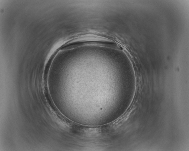 X0000065980102200603101432