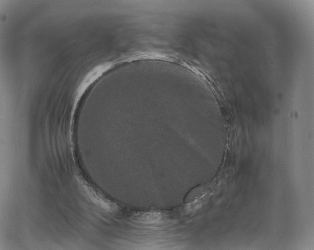 X0000065980104200603101432