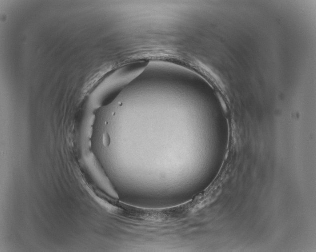 X0000065980105200603101432