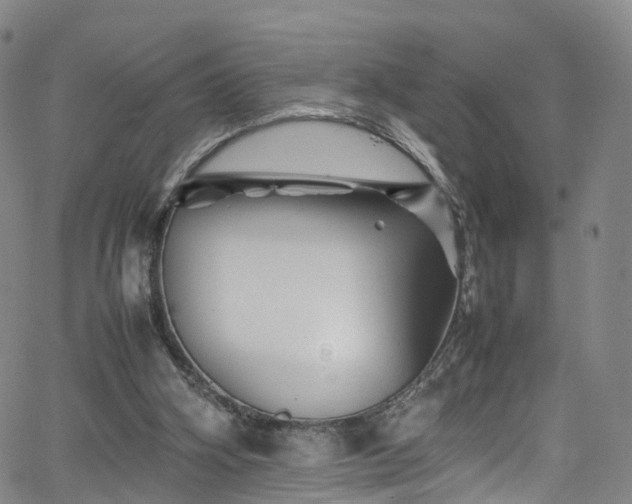 X0000065980106200603101432