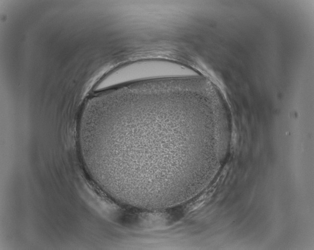 X0000065980107200603101432