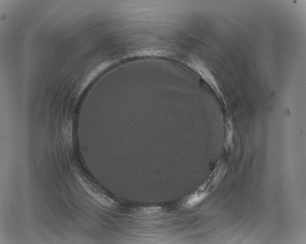 X0000065980108200603101432