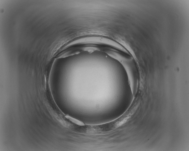 X0000065980109200603101432