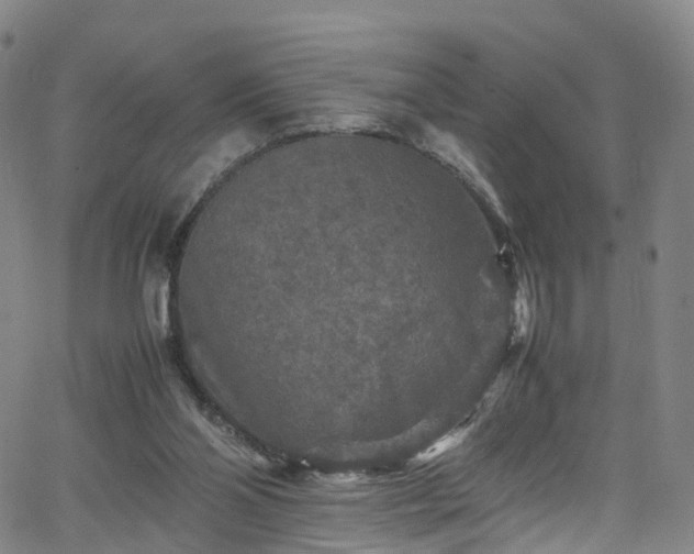 X0000065980110200603101432