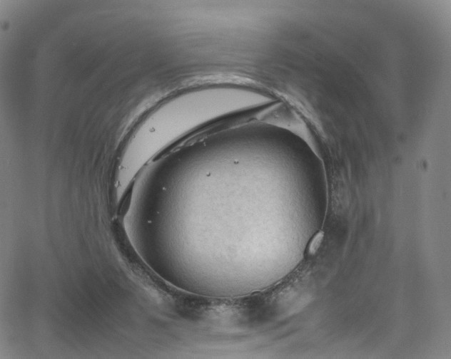 X0000065980111200603101432