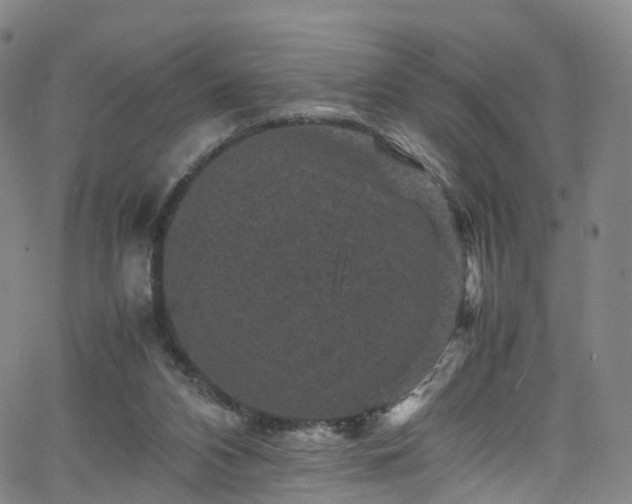 X0000065980112200603101432