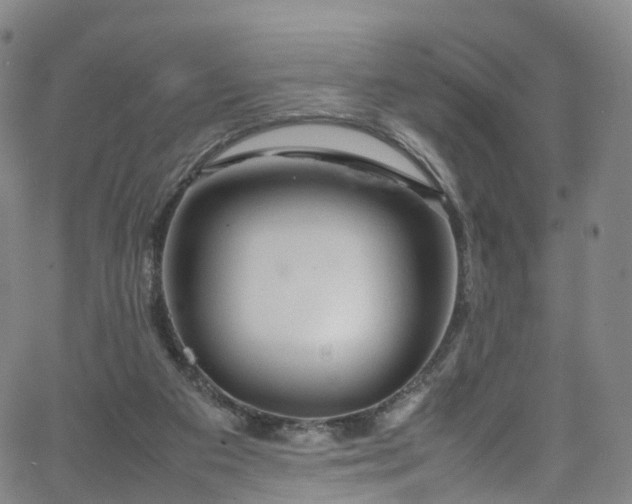 X0000065980113200603101432