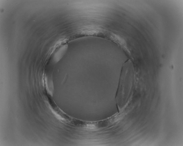 X0000065980114200603101432