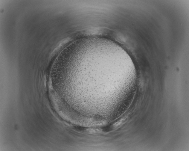 X0000065980115200603101432