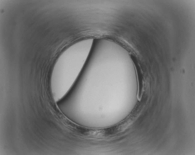 X0000065980117200603101432