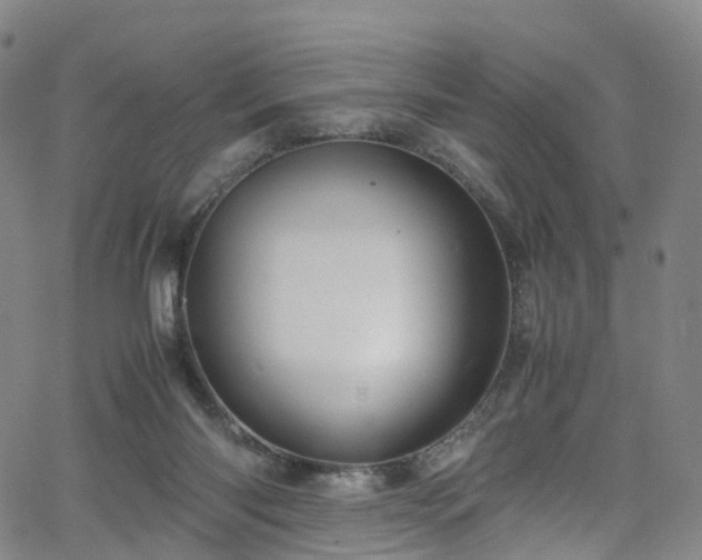 X0000065980118200603101432