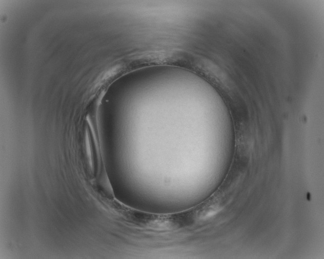 X0000065980119200603101432