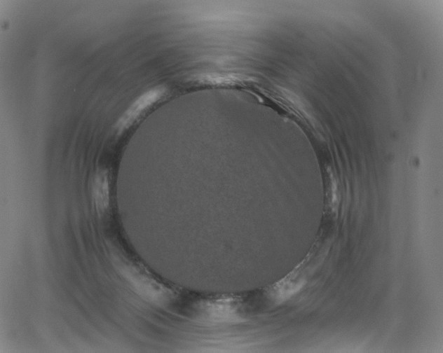 X0000065980120200603101432