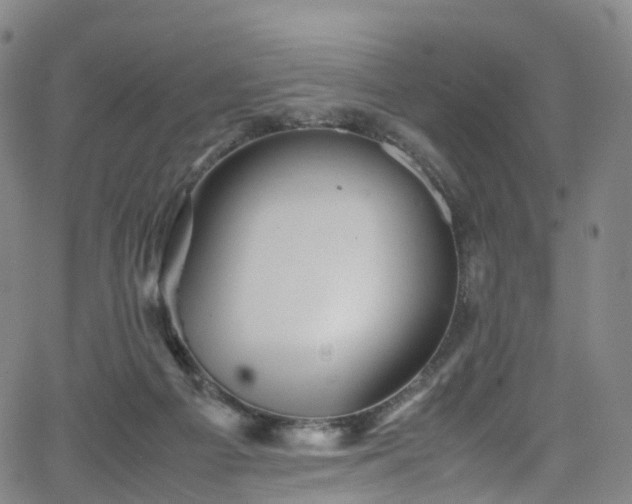 X0000065980121200603101432