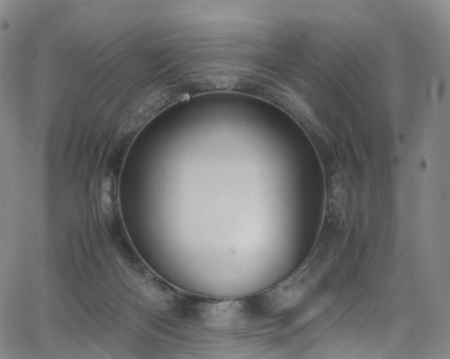 X0000065980122200603101432