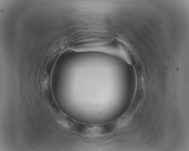 X0000065980125200603101432