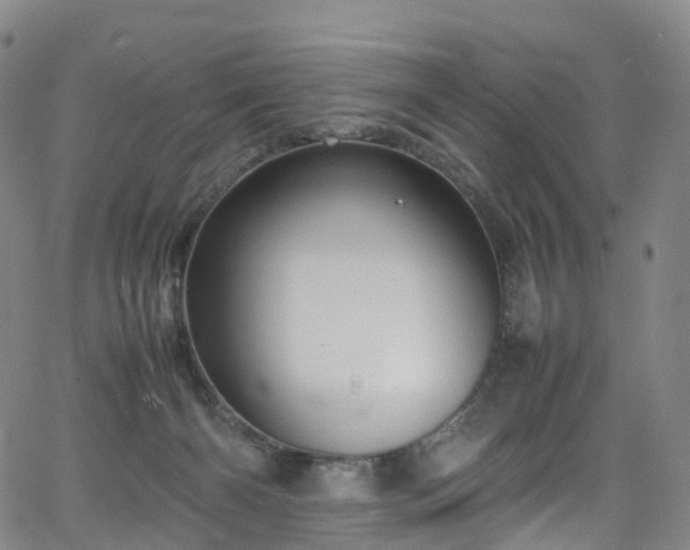 X0000065980126200603101432