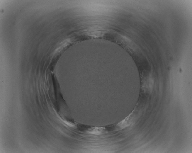 X0000065980128200603101432