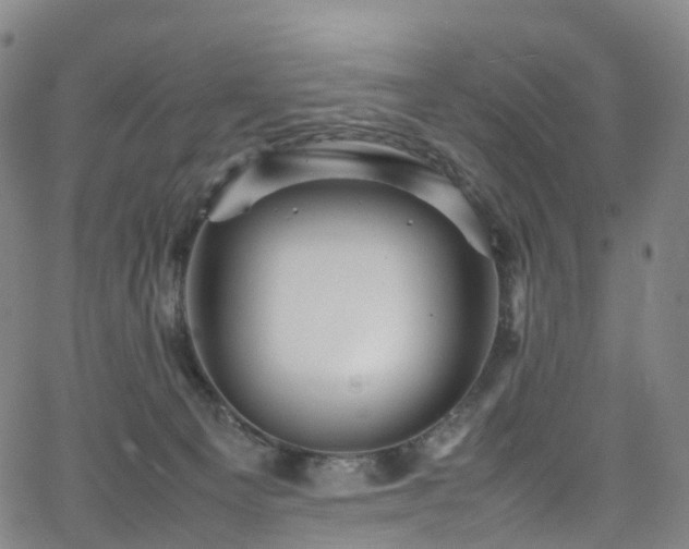 X0000065980129200603101432