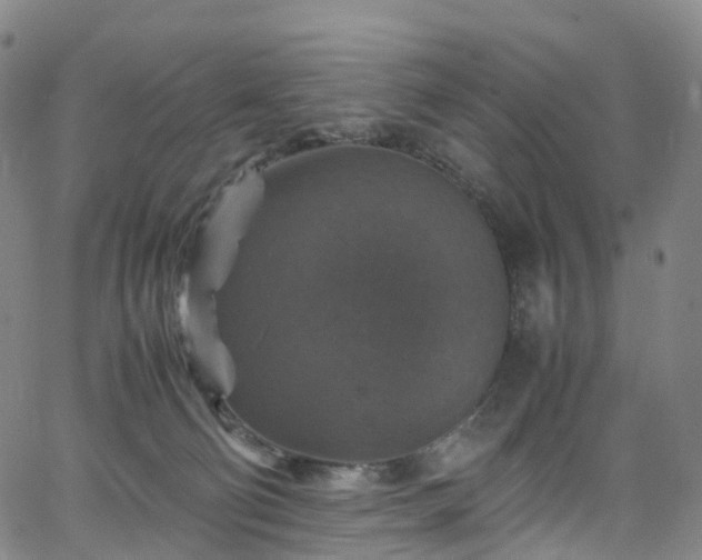 X0000065980130200603101432