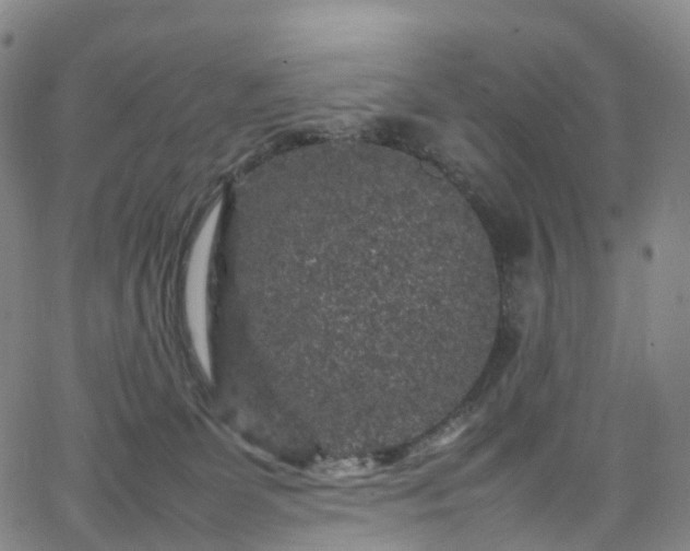 X0000065980131200603101432