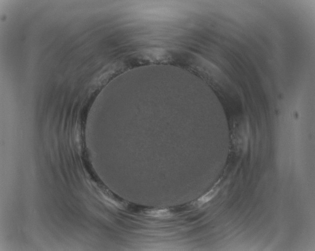 X0000065980132200603101432