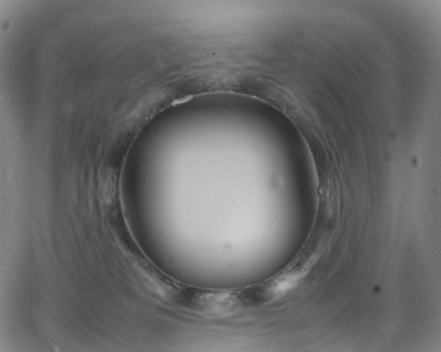 X0000065980133200603101432