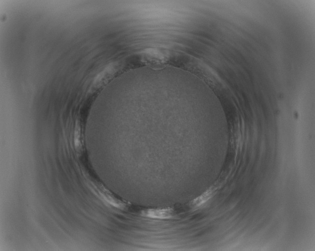 X0000065980134200603101432