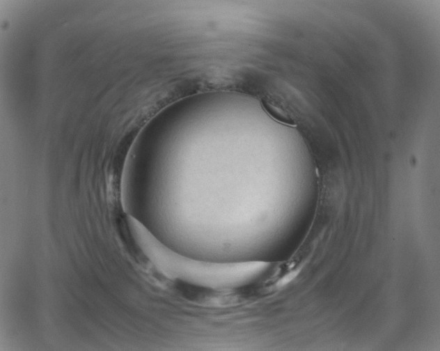 X0000065980135200603101432