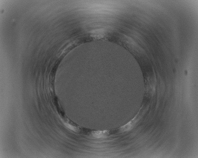 X0000065980136200603101432