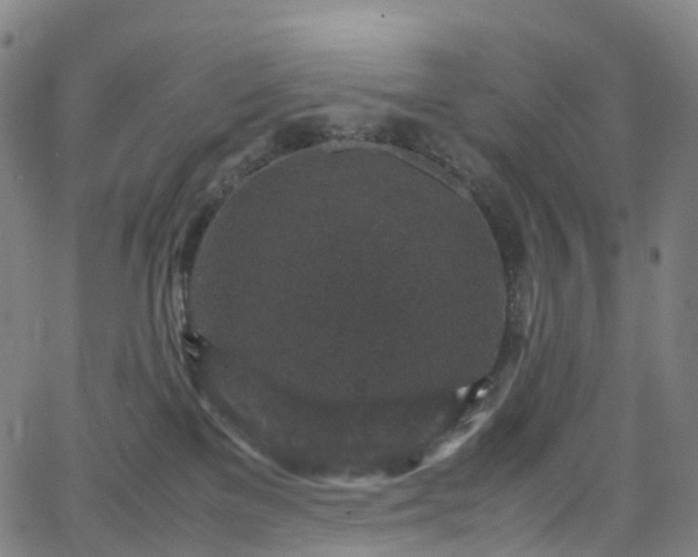 X0000065980137200603101432