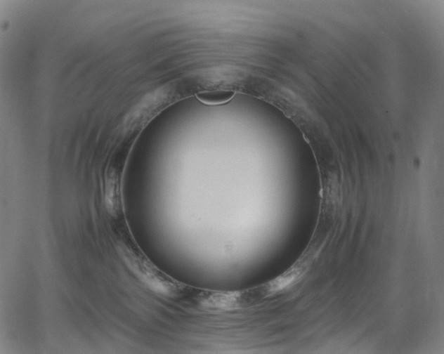 X0000065980138200603101432