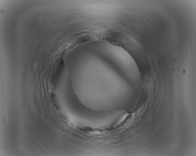 X0000065980139200603101432