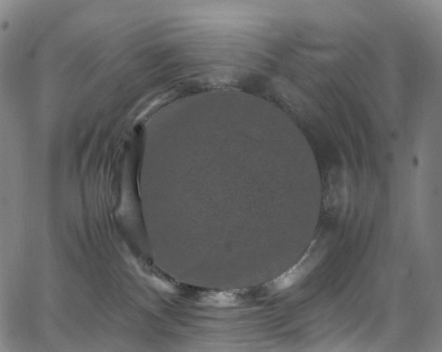 X0000065980140200603101432