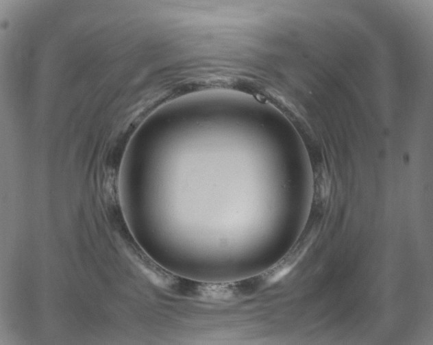 X0000065980141200603101431