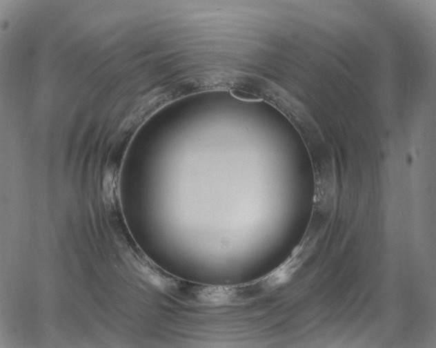 X0000065980142200603101431