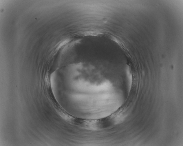 X0000065980143200603101431