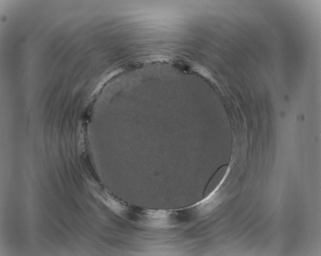 X0000065980144200603101431