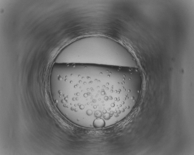 X0000065980145200603101431