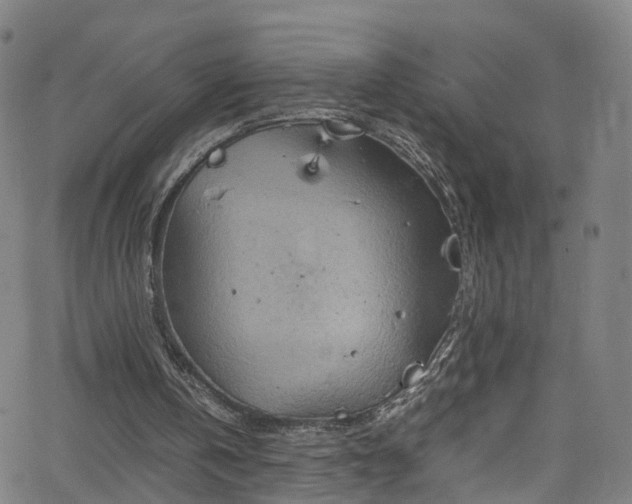 X0000065980146200603101431