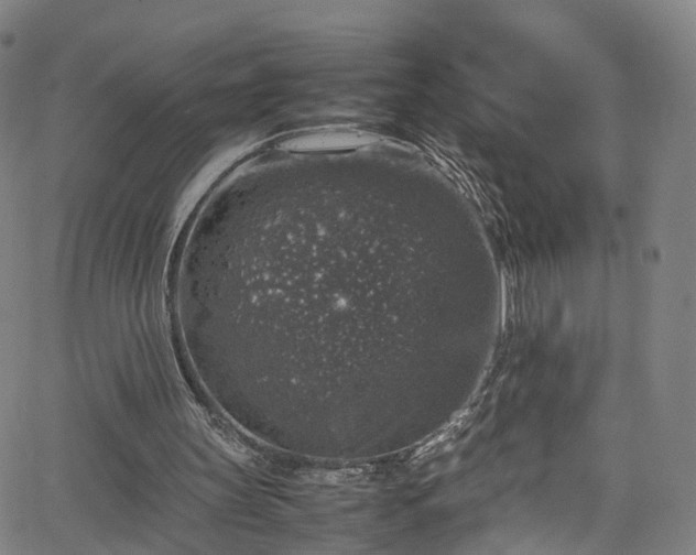 X0000065980147200603101431