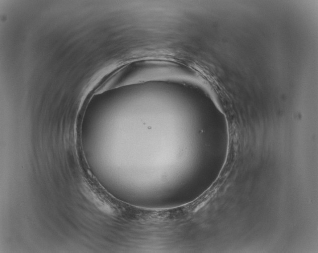 X0000065980148200603101431