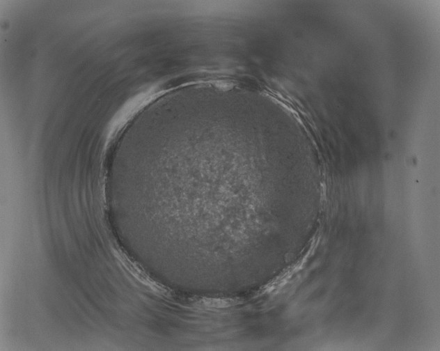 X0000065980149200603101431